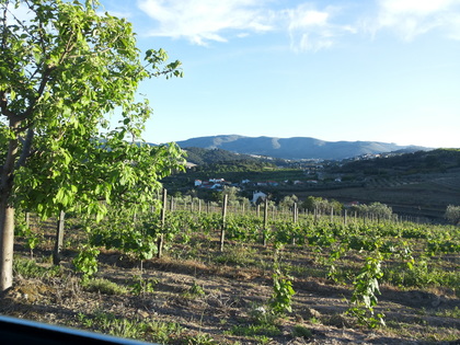 20140502_193114-15869.jpg