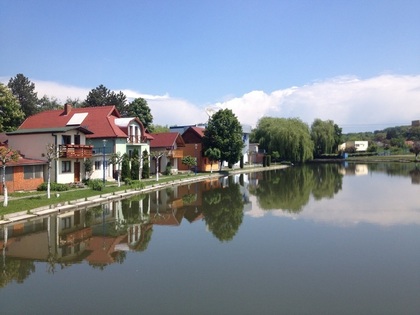 saura02.jpg